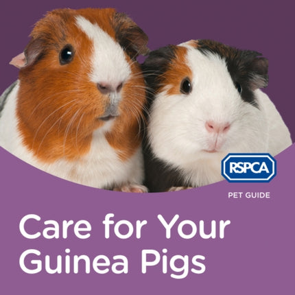 Care for Your Guinea Pigs RSPCA Pet Guide