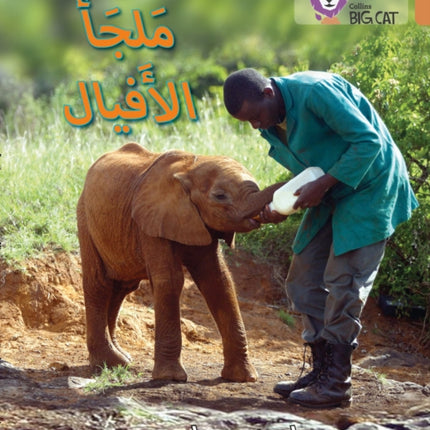 Elephant Sanctuary: Level 12 (Collins Big Cat Arabic Reading Programme)