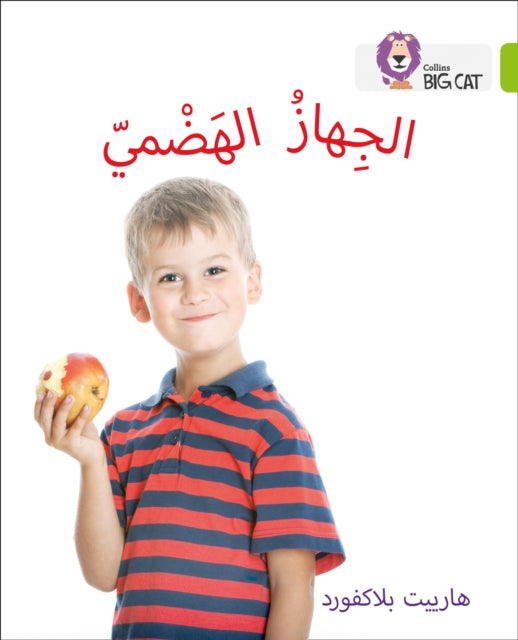 The Digestive System: Level 11 (Collins Big Cat Arabic Reading Programme)