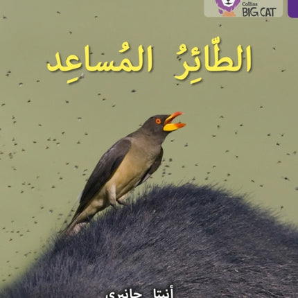 The Helper Bird: Level 8 (Collins Big Cat Arabic Reading Programme)