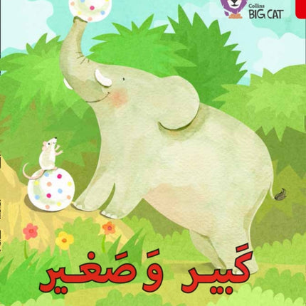 Big and Small: Level 2 (KG) (Collins Big Cat Arabic Reading Programme)