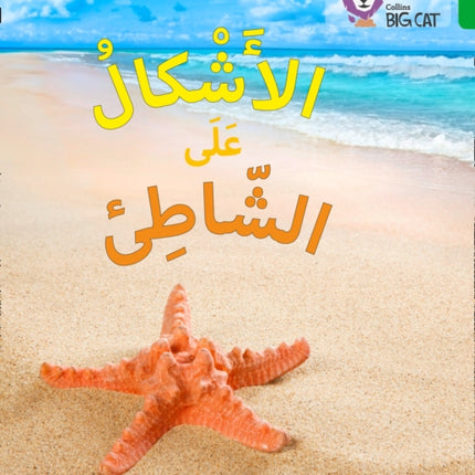 Shapes on the Seashore: Level 5 (Collins Big Cat Arabic Reading Programme)