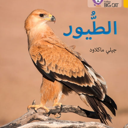 Birds: Level 9 (Collins Big Cat Arabic Reading Programme)