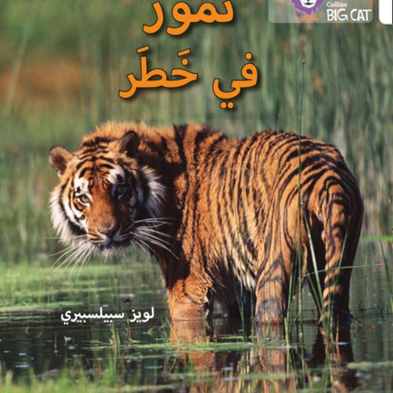 Tigers in Danger: Level 10 (Collins Big Cat Arabic Reading Programme)