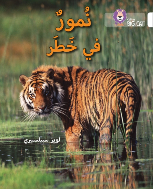 Tigers in Danger: Level 10 (Collins Big Cat Arabic Reading Programme)