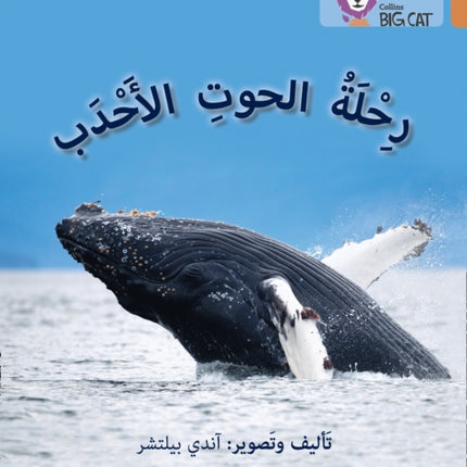 Journey of Humpback Whales: Level 12 (Collins Big Cat Arabic Reading Programme)