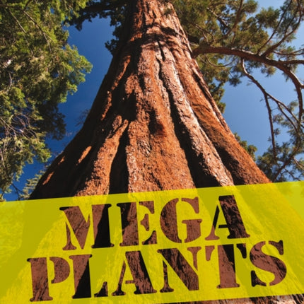 Mega Plants: Band 12/Copper (Collins Big Cat)