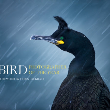 Bird Photographer of the Year