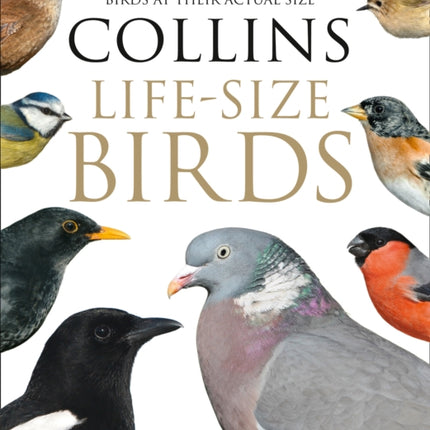 Collins Life-Size Birds: The Only Guide to Show British Birds at their Actual Size