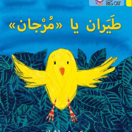 Fly, Murjan!: Level 3 (KG) (Collins Big Cat Arabic Reading Programme)