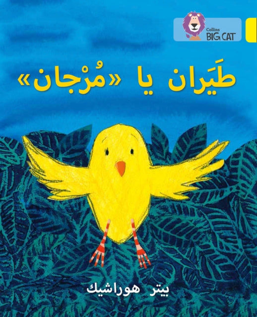 Fly, Murjan!: Level 3 (KG) (Collins Big Cat Arabic Reading Programme)