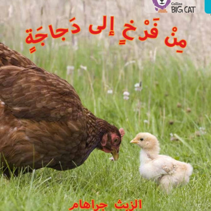 Chick to Hen: Level 7 (Collins Big Cat Arabic Reading Programme)