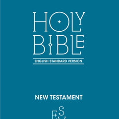Collection image for: Other Nonconformist and Evangelical Churches Books