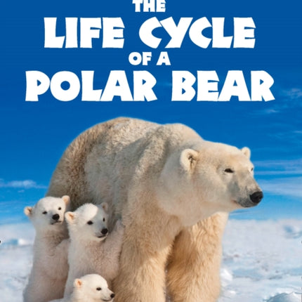 The Life Cycle of a Polar Bear: Band 14/Ruby (Collins Big Cat)