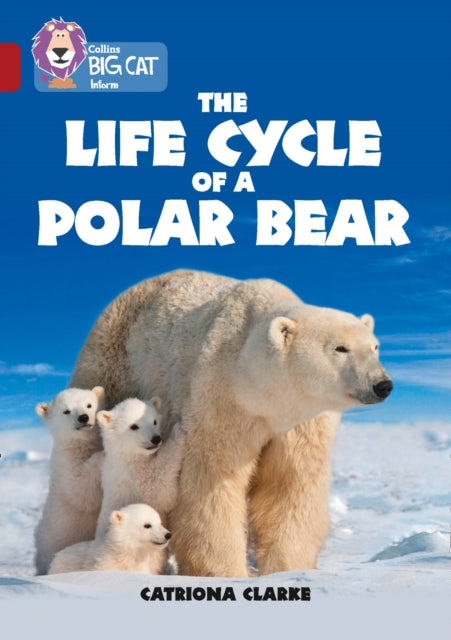 The Life Cycle of a Polar Bear: Band 14/Ruby (Collins Big Cat)