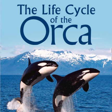 The Life Cycle of the Orca: Band 16/Sapphire (Collins Big Cat)