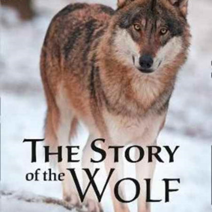 The Story of the Wolf: Band 17/Diamond (Collins Big Cat)