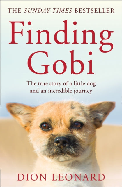 Finding Gobi (Main edition): The true story of a little dog and an incredible journey