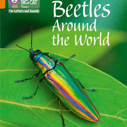 Collins Big Cat Phonics for Letters and Sounds – Beetles Around the World: Band 06/Orange