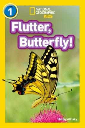 Flutter, Butterfly!: Level 1 (National Geographic Readers)