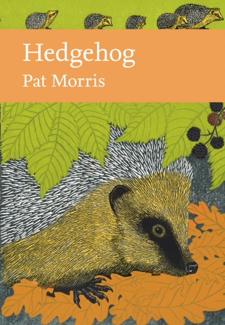 Hedgehog Book 137 Collins New Naturalist Library