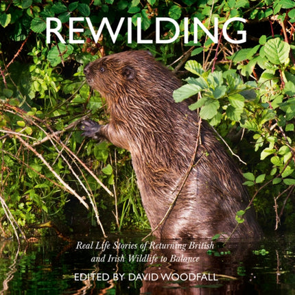 Rewilding: Real Life Stories of Returning British and Irish Wildlife to Balance