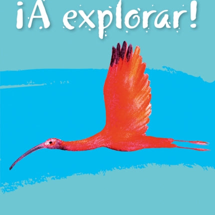 Lower Secondary Spanish for the Caribbean – A Explorar: Student's Book Level 1