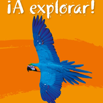 A Explorar Workbook Level 2