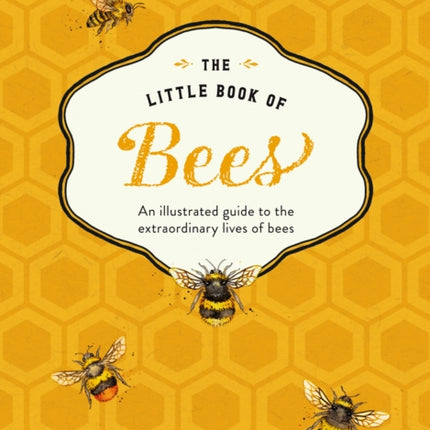 The Little Book of Bees: An illustrated guide to the extraordinary lives of bees