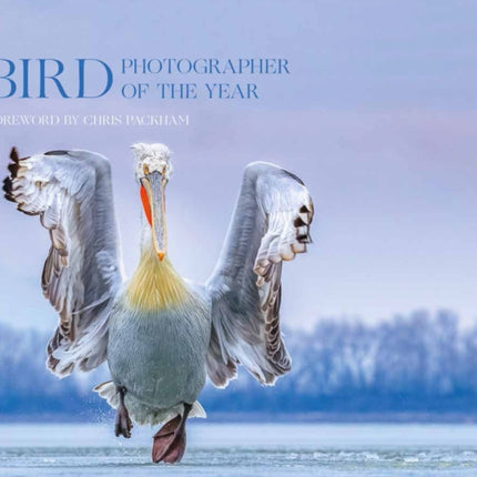 Bird Photographer of the Year: Collection 4 (Bird Photographer of the Year)