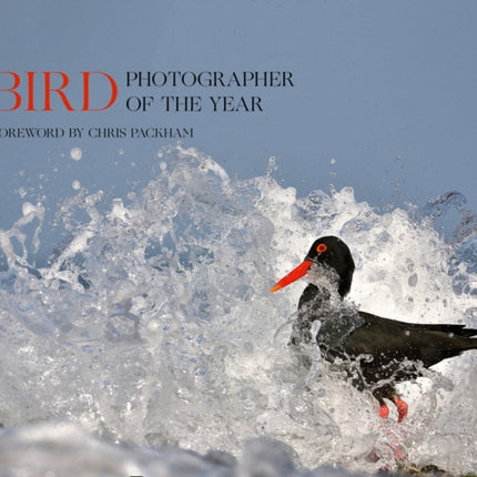 Bird Photographer of the Year: Collection 5 (Bird Photographer of the Year)