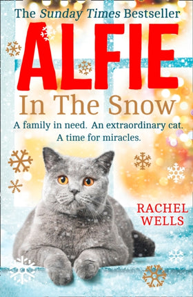 ALFIE IN THE SNOW Book 5 Alfie series