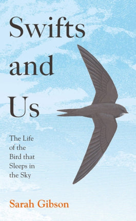 Swifts and Us: The Life of the Bird that Sleeps in the Sky