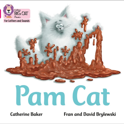 Collins Big Cat Phonics for Letters and Sounds – Pam Cat: Band 01B/Pink B