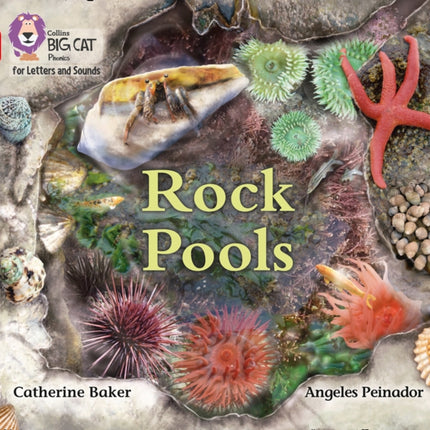 Collins Big Cat Phonics for Letters and Sounds – Rock Pools: Band 02B/Red B