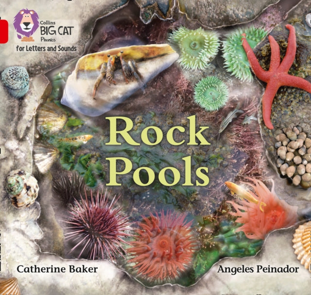 Collins Big Cat Phonics for Letters and Sounds – Rock Pools: Band 02B/Red B