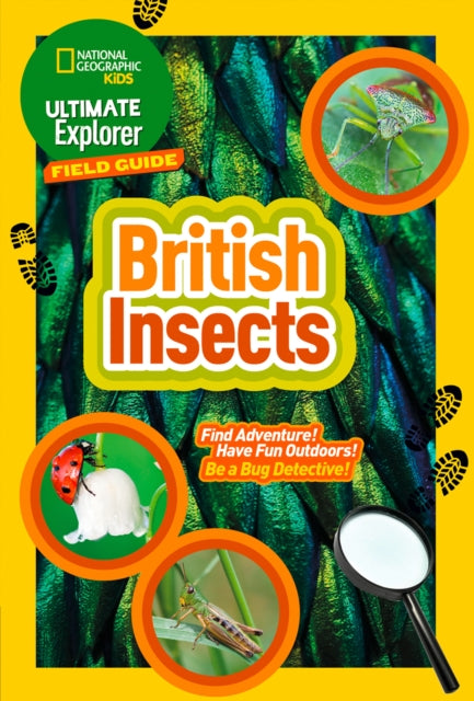 Ultimate Explorer Field Guides British Insects: Find Adventure! Have Fun Outdoors! Be a Bug Detective! (National Geographic Kids)