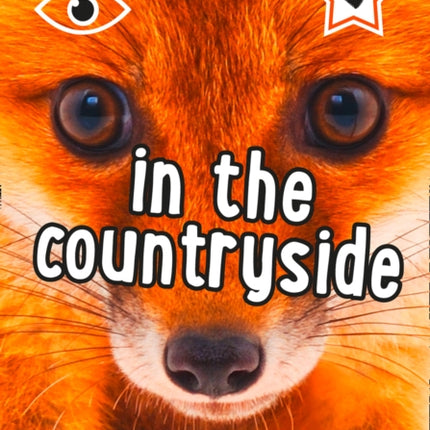 iSPY In the Countryside Spy it Score it Collins