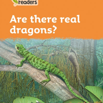 Level 4 – Are there real dragons? (Collins Peapod Readers)