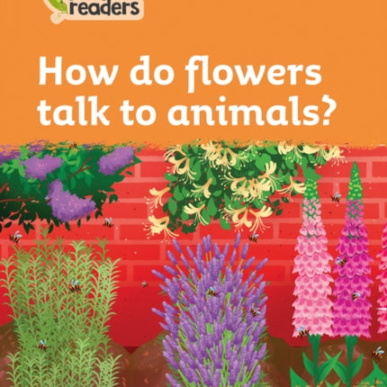 Level 4 – How do flowers talk to animals? (Collins Peapod Readers)