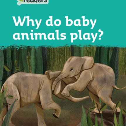 Level 3 – Why do baby animals play? (Collins Peapod Readers)