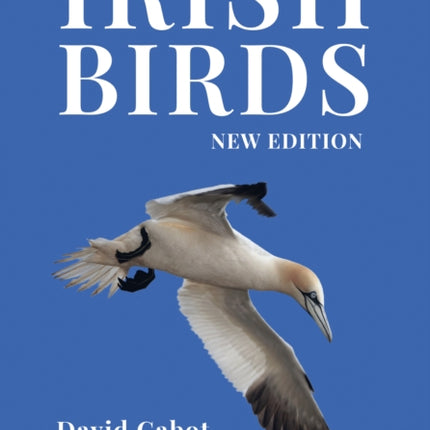 Irish Birds