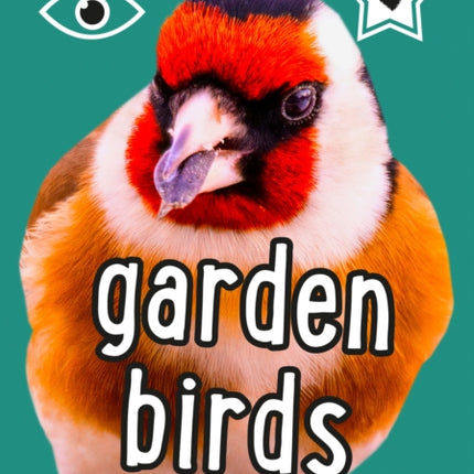 i-SPY Garden Birds: Spy it! Score it! (Collins Michelin i-SPY Guides)