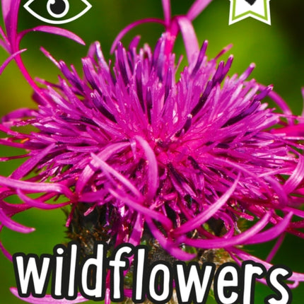 i-SPY Wildflowers: Spy it! Score it! (Collins Michelin i-SPY Guides)