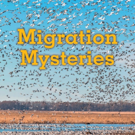 Migration Mysteries Band 11Lime Plus Collins Big