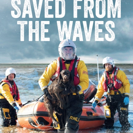 Saved from the Waves: Animal Rescues of the RNLI