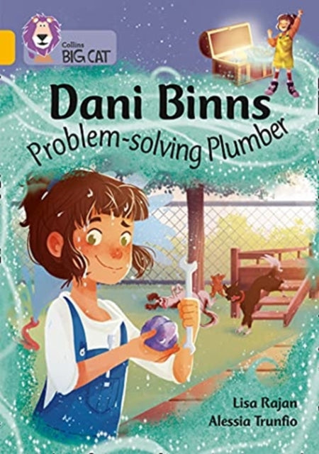 Dani Binns: Problem-solving Plumber: Band 09/Gold (Collins Big Cat)