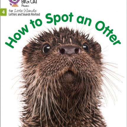 How to Spot an Otter: Phase 4 Set 2 (Big Cat Phonics for Little Wandle Letters and Sounds Revised)