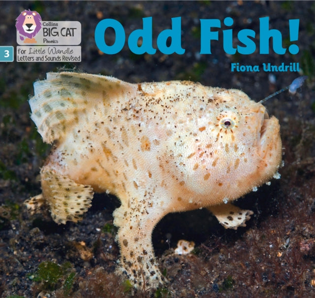 Odd Fish!: Phase 3 Set 1 (Big Cat Phonics for Little Wandle Letters and Sounds Revised)