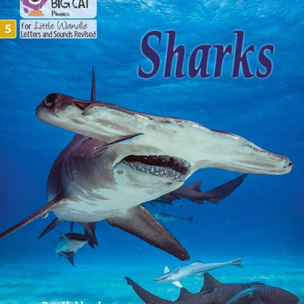 Sharks: Phase 5 Set 1 (Big Cat Phonics for Little Wandle Letters and Sounds Revised)